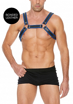 Buckle Bulldog Harness - S/M - Blue