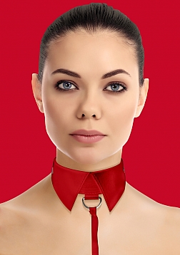 Classic Collar with Leash - Red